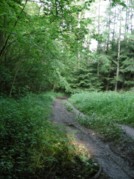 Le sentier vers Céries